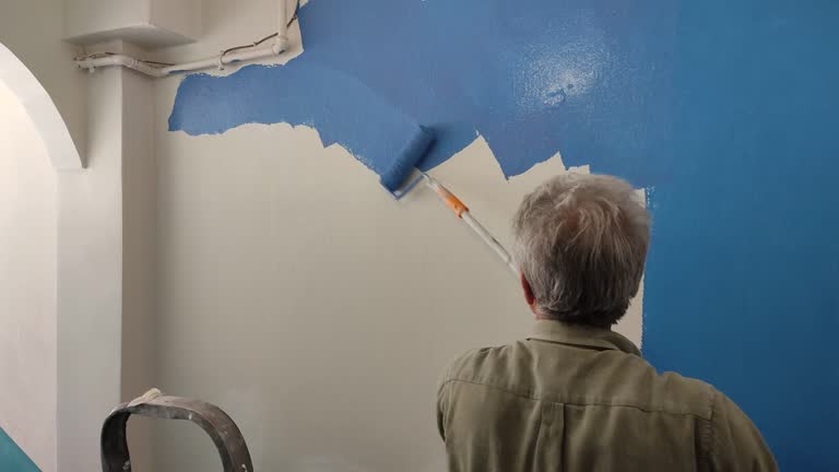 Best Fire-Damaged Drywall Repair  in Paw Paw, MI